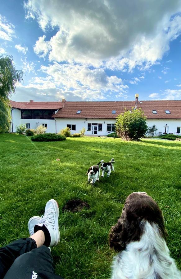 Gospodarstwo Agroturystyczne Zasadkowe Bory Rogowo  Exterior photo