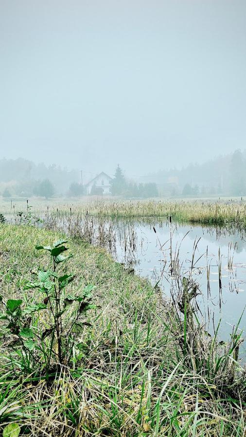 Gospodarstwo Agroturystyczne Zasadkowe Bory Rogowo  Exterior photo